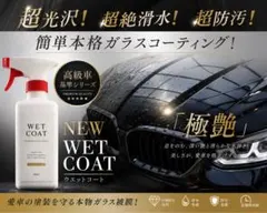 GGG 3個セット 高耐久性のガラスコーティング剤 - メルカリ