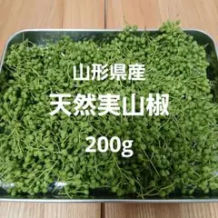 東北 山形県産 実山椒 200g 山椒 - メルカリ