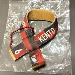 #6【ブラインド】26/27プレイヤーズミニタオルマフラーキーホルダー