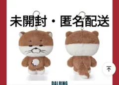BOYNEXTDOOR ボネクド プネクド リウ キーリング　ぬいぐるみ
