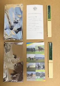 ② JRA WINS day 2019 扇子 2本セット 非売品 競馬グッズ