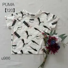 PUMA プーマ　Tシャツ ロゴプリント　総柄　キッズ　白　【120】