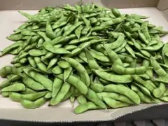 丹波産　黒枝豆　農家直送のサムネイル