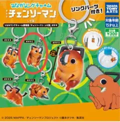 チェンソーマン×つながリングチャーム・ポチタC