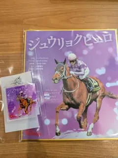 2026年最新】ジュウリョクピエロの人気アイテム - メルカリ