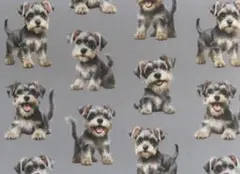 【ゆきちゃん限定】X1550-3 ミニチュアシュナウザー グレー 生地 1m