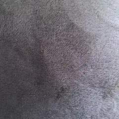 送料分の専用出品