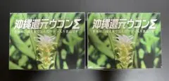 2026年最新】沖縄還元ウコンの人気アイテム - メルカリ