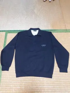 Item thumbnail for item 02f1af3b-a532-46b6-b49f-b1ebcb9ccd8b