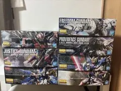 ガンプラ MG PLAN303E ディープストライカー HG ドム 計8点セット