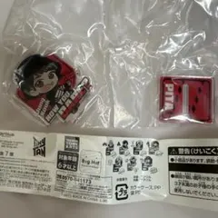 TinyTAN アクリルスタンドJung Kook MIC Dropガチャガチャ