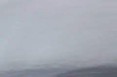 裏毛裏起毛ニット　180×2m　20251113