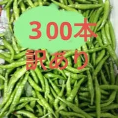 ☀激辛青唐辛子 サンクス限定販売品　5kg ☀激辛青唐辛子 サンクス限定販売品 5kg ☀激辛青唐辛子 サンクス限定販売