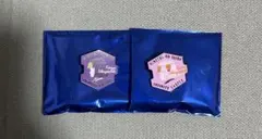 劇場版 鬼滅の刃 無限城編 キャラクターモチーフピンズ 産屋敷輝利哉 くいな