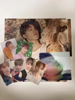 seventeen DINO トレカ等セット