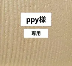 ppy様　専用