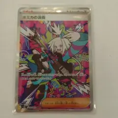 ホミカの演奏 トレーナーズ SAR