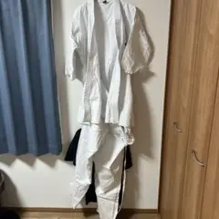 空手 胴衣セット 白