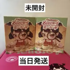 Mellojoy メロジョイミニランド 2箱セット【付属品フルセット】 - メルカリ