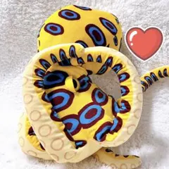 カッコ可愛い★ ヒョウモンダコ BIG ぬいぐるみ 海の生き物 危険生物 タコ