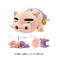 クレヨンしんちゃん　すやすやパスケース　ぶりぶりざえもん