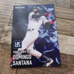 カルビー プロ野球チップスカード 2枚セット