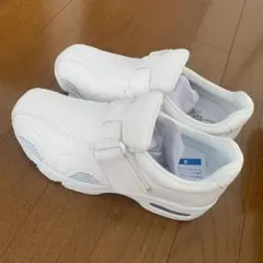 Item thumbnail for item 169a768c-3d45-4021-b564-119b74579532