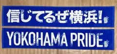 横浜DeNAベイスターズ☆大声援タオル☆2種セット