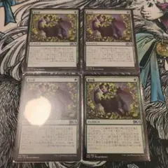 MTG 夏の帳Veil of Summer 3枚セット M20 - メルカリ