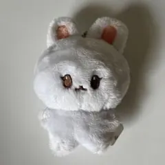 NCTDREAM ジェミン　ぬいぐるみ　マスター　ポケジェム