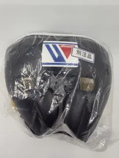 Item thumbnail for item ae4bb12a-5f94-4f0f-ae19-906dc972609f