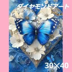 【A1659】ダイヤモンドアート　30×40㎝ラウンド