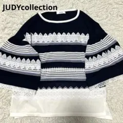 ⭐️新品未使用⭐️【JUDY COLLECTION】シアートップス花柄刺繍 38 