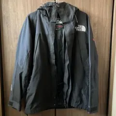 THE NORTH FACE サミットシリーズ マウンテンパーカー 廃盤 希少