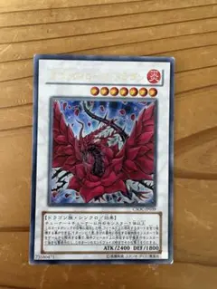 2026年最新】ブラック・ローズ・ドラゴン CSOC-JP039 ULの人気アイテム