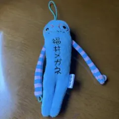 モケケ 福井メガネ