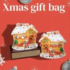 クリスマス　ギフトバック　ラッピング　プレゼント包装　10枚