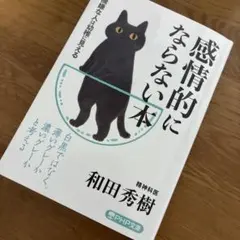 只今、断捨離中のりと申します様 リクエスト 2点 まとめ商品