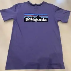 Patagonia Tシャツ パープル XL(14)のサムネイル