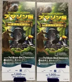 アマゾン展 in 夢みなとタワー 前売りチケット2枚セットのサムネイル