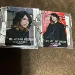 THE YELLOW MONKEY 菊地英昭 EMMAブレスレット - メルカリ
