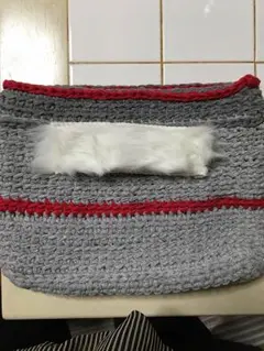 ズパゲッティリボンxlクラッチバッグ