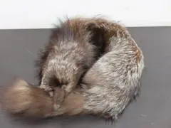 リアルファー マフラー