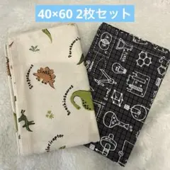 【オーダー可】ランチョンマット2枚セット40×60