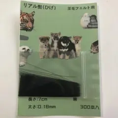 羊毛フェルト 本