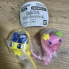 【たまごっち　カラフルマルチチャーム】