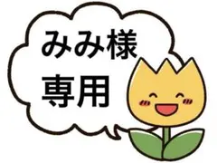 ホンコンやきそば☆白いチーズプリンセス☆きたほなみ うどん☆きたほなみ グリーン