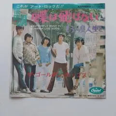 7）ザ・ゴールデン・カップス／いとしのジザベル 見本盤／デイヴ平尾