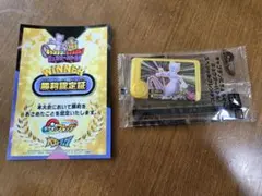 フレンダ　ミュウツー　大会限定　おまけ有