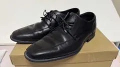 Item thumbnail for item 4324cca5-5534-48f2-9491-987cffd775c0